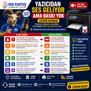 Yazıcıdan Ses Geliyor Ama Baskı Yok