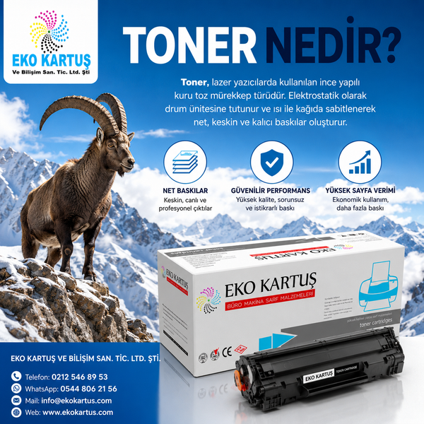 Toner Nedir? Toner Nasıl Çalışır, Çeşitleri Nelerdir ve Nasıl Saklanmalıdır?