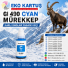 Canon PIXMA G2410 MUADİL GI-490 MÜREKEP SET 4 RENK (GI490)
