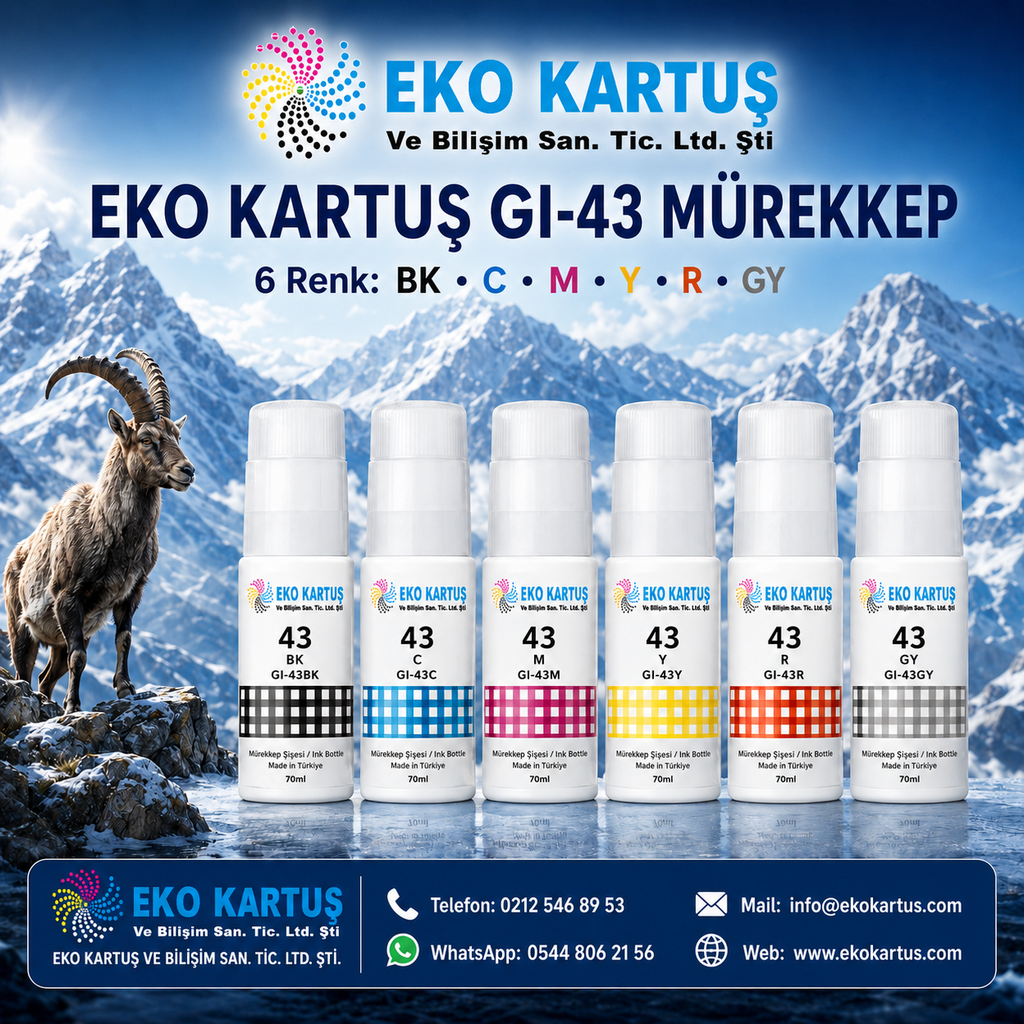 Canon Pixma G540 Muadil GI-43 Mürekkep Seti 6 Renk GI43