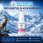 Canon Pixma G540 Muadil GI-43 Mürekkep Seti 6 Renk GI43