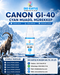 Canon Pixma G5040 SET 4 RENK MUADİL Mürekkep (GI40)