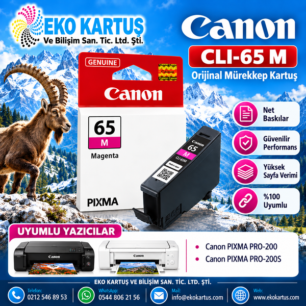 Canon CLI-65 Kırmızı Orijinal Kartuş 4217C001