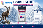 Epson WorkForce Pro WF-C879RD3TWFC BAM   KARTUŞU  MUADİL SET 4 RENK T05A100 /T05A200 /T05A300 /T05A400