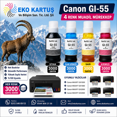 Canon GI-55 muadil mürekkep 4 renk