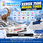 XEROX 7500 muadil toner 4 renk set